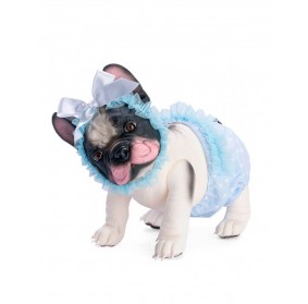 Lily La Bulldog Braguita...